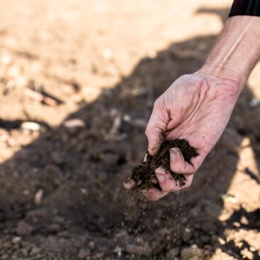 Skuodo rajono savivaldybės ūkininkų iniciatyvų skatinimo programos lėšų panaudojimo ataskaita iki 2020 m. rugsėjo 30 d.