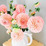 Sveikiname Vietos savivaldos dienos proga