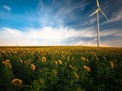 Planuojama rengti žemės sklypo (kadastrinis Nr. 7527/0010:117, 8,2600 ha, Baksčių k., Mosėdžio sen., Skuodo rajone) detaliojo plano koregavimą suplanuotos teritorijos dalyje – žemės sklypui Baksčių k. 14, Mosėdžio sen., Skuodo r. sav.