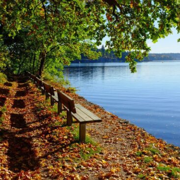 Atliktas atviras konkursas dėl projekto „Viešosios erdvės prie tvenkinio Ežero gatvėje sutvarkymas Mosėdžio miestelyje, Skuodo rajone“ darbų pirkimo