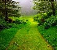 PRANEŠIMAS APIE STATINIŲ PROJEKTAVIMO PRADŽIĄ IR VISUOMENĖS DALYVAVIMĄ SVARSTANT STATINIO PROJEKTINIUS PASIŪLYMUS