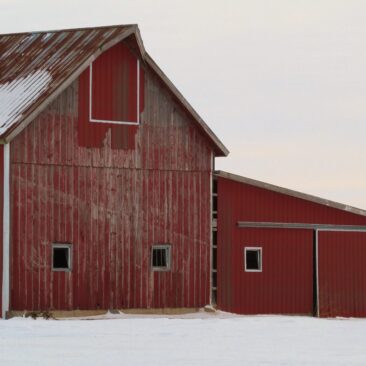 Visuomenės informavimas apie numatomą statinio – fermos paskirties pastato Skuodo r. Sav. Ylakių sen., Gedrimų k., statybos projektavimą