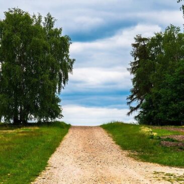 2020–2021 metams nupirkti vietinės reikšmės kelių ir gatvių priežiūros (greideriavimo) darbai