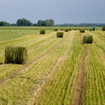 Pasėlių deklaravimo ir žemės ūkio technikos techninės apžiūros organizaciniai darbai