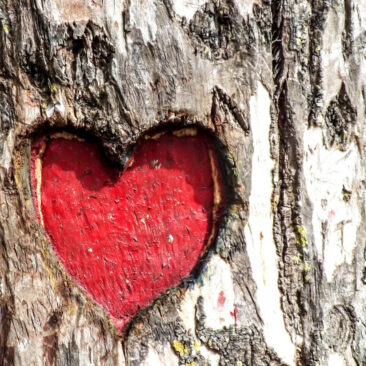 Lietuvos kardiologai pataria pacientams, kaip elgtis koronaviruso pandemijos metu