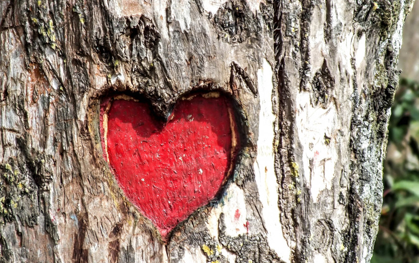 Lietuvos kardiologai pataria pacientams, kaip elgtis koronaviruso pandemijos metu