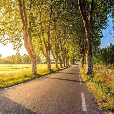 Kelių direkcija lėšų panaudojo tiek, kiek leido įstatymai: dezinformacija turi liautis