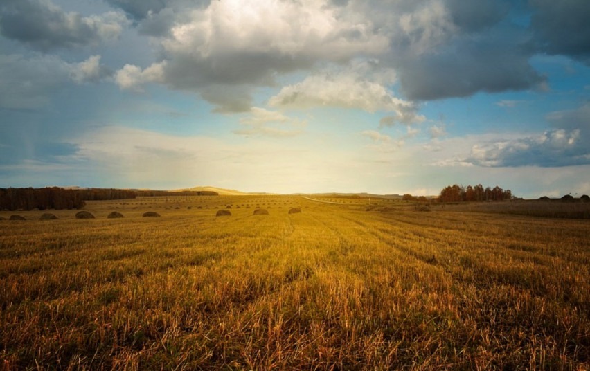 „Gero ūkininko čempionatas“