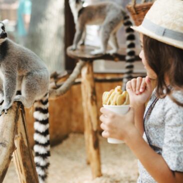 Siekiant valdyti rizikas, nustatyti reikalavimai atvirose erdvėse įsikūrusiems traukos objektams