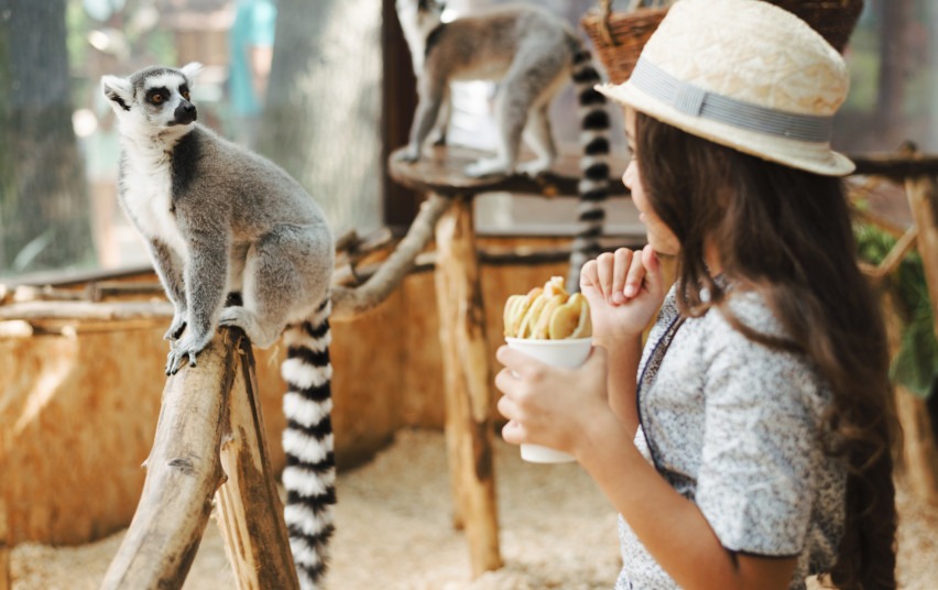 Siekiant valdyti rizikas, nustatyti reikalavimai atvirose erdvėse įsikūrusiems traukos objektams