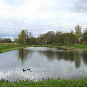 Planuojami Skuodo miesto parke esančios Bartuvos upės vandens augmenijos šalinimo darbai