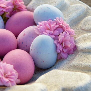 Šventinis Skuodo rajono savivaldybės vadovų sveikinimas