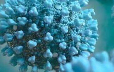 Didesnės rizikos susirgti sunkia COVID-19 ligos (koronaviruso infekcijos) forma asmenų skaičius savivaldybėse