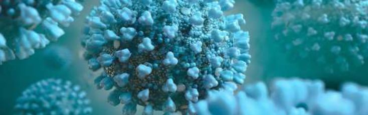 Didesnės rizikos susirgti sunkia COVID-19 ligos (koronaviruso infekcijos) forma asmenų skaičius savivaldybėse