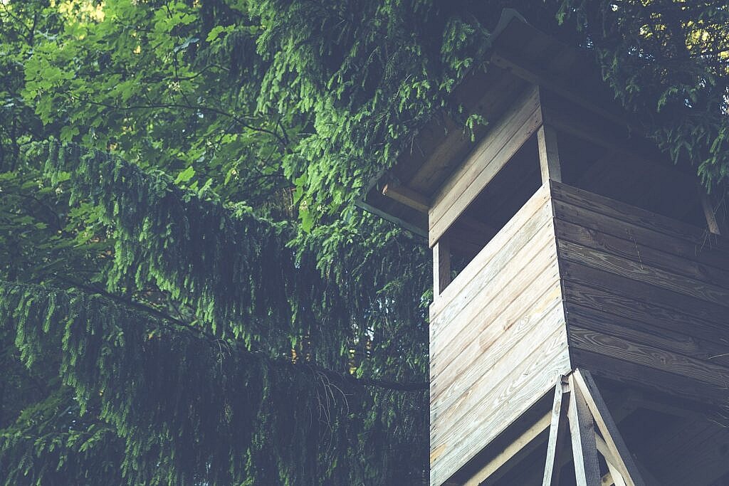 Priimamos paraiškos dėl medžiojamųjų gyvūnų daromos žalos prevencijos priemonių diegimo Skuodo rajone finansinės paramos