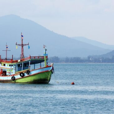 Švelninami reikalavimai dėl keleivių plukdymo laivais