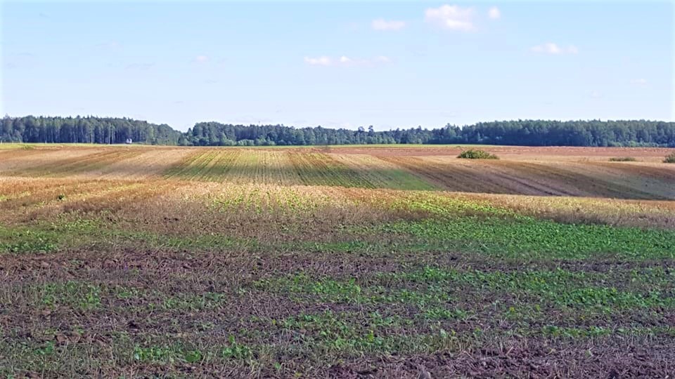 Skuodo rajono savivaldybės žemės ūkio ir kaimo plėtros iniciatyvų skatinimo programos lėšų panaudojimo 2025 m. ataskaita