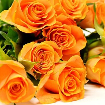 Su profesine švente sveikinami socialiniai darbuotojai