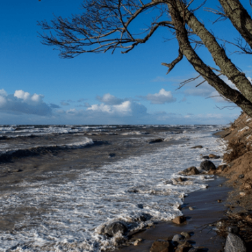 Ugniagesiai gelbėtojai: numatomas stiprus vėjas
