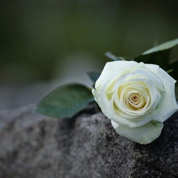 Rajone fiksuojama antra asmens mirtis, kuriam buvo nustatyta COVID-19 liga