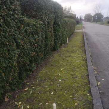 Sudaryta sutartis dėl Skuodo miesto Kęstučio ir Mindaugo gatvių kapitalinio remonto