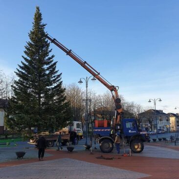 Skuodo mieste jau puošiamasi Kalėdoms