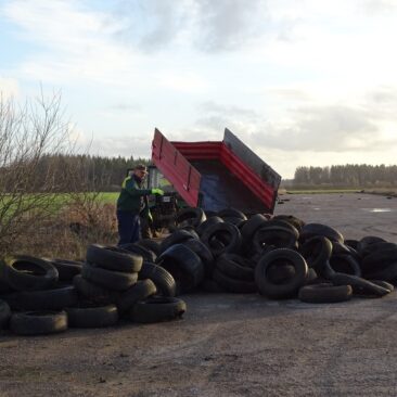 Tvarkomos bešeimininkės padangos: planuojama išvežti apie 28 t padangų