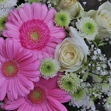 Sveikinimas Aleksandrijos pagrindinės mokyklos bendruomenei su mokyklos 110 metų jubiliejumi