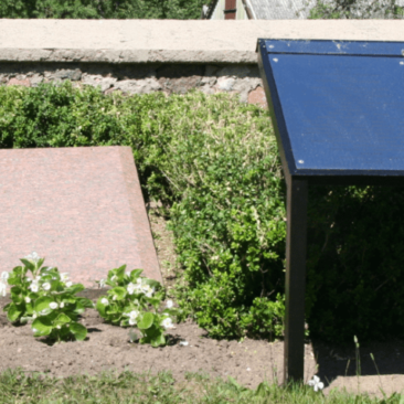 Dėl individualaus apsaugos reglamento