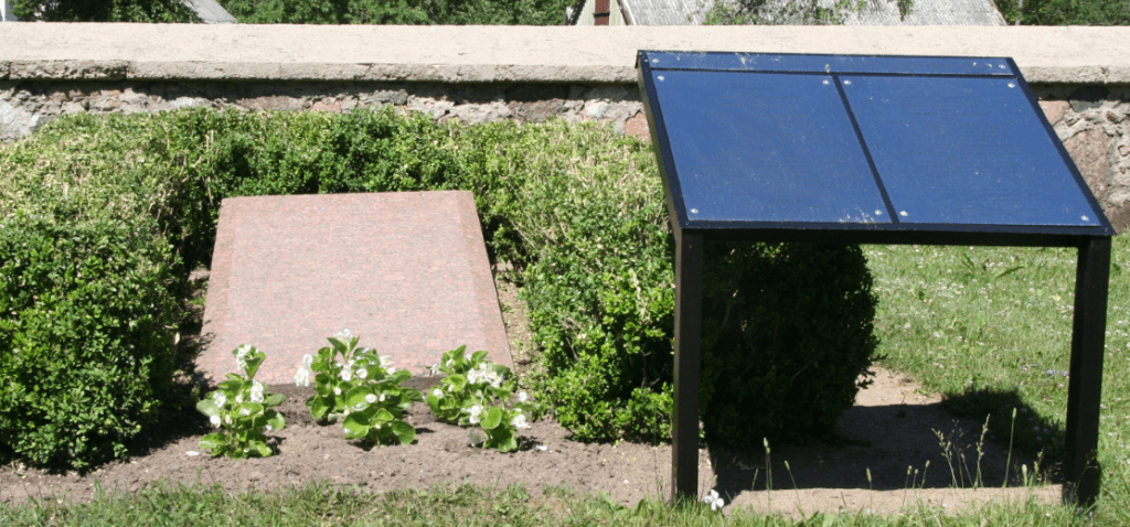 Dėl individualaus apsaugos reglamento