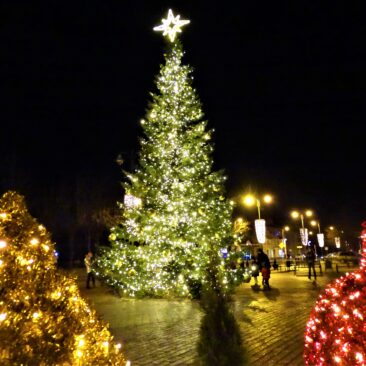 Nuo gruodžio 31 d. 22 val. iki sausio 1 d. 6 val. bus išjungtos Skuodo miesto eglės šviesos