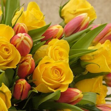 Sveikinimas Tarptautinės neįgaliųjų žmonių dienos proga