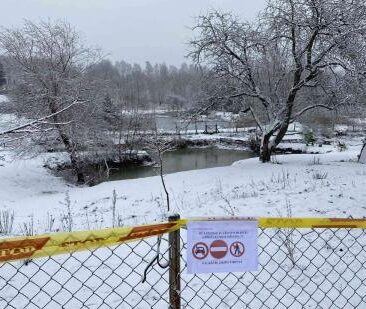 Biosauga – svarbiausia priemonė paukščių gripo viruso plitimui išvengti