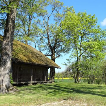 Lietuvių kalbos dienos Skuodo rajone