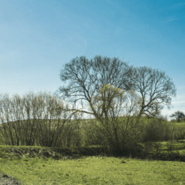 Informacija atrankai dėl poveikio aplinkai vertinimo