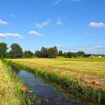 Skuodo rajono savivaldybės ūkininkų iniciatyvų skatinimo priemonės lėšų panaudojimo ataskaita iki 2022 m. spalio 1 d.
