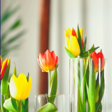 Savivaldybės vadovai sveikina su Kovo 11-ąja