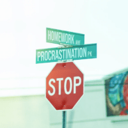 Tikslinami adresų numerių duomenys ir suteikiami nauji adresai Skuodo rajono Šačių seniūnijos Šačių kaime