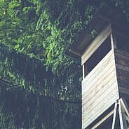 Priimamos paraiškos dėl medžiojamųjų gyvūnų daromos žalos prevencijos priemonių diegimo Skuodo rajone finansinės paramos