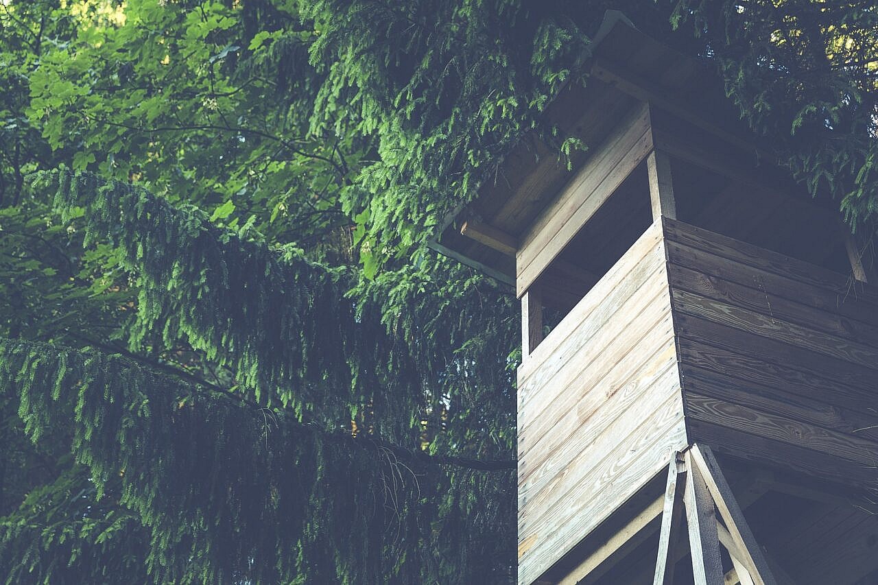 Priimamos paraiškos dėl medžiojamųjų gyvūnų daromos žalos prevencijos priemonių diegimo Skuodo rajone finansinės paramos