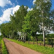 Skuodo rajono vietinės reikšmės keliams taisyti nupirktas žvyras