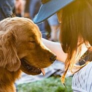 VMVT įspėja – vasaros karščiai gyvūnams gali būti mirtinai pavojingi