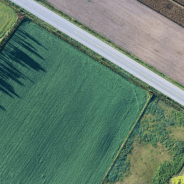 Prašymai pakeisti/nustatyti žemės sklypo pagrindinę žemės naudojimo paskirtį ir (ar) pakeisti ar nustatyti, jeigu jis nenustatytas, žemės sklypo naudojimo būdą