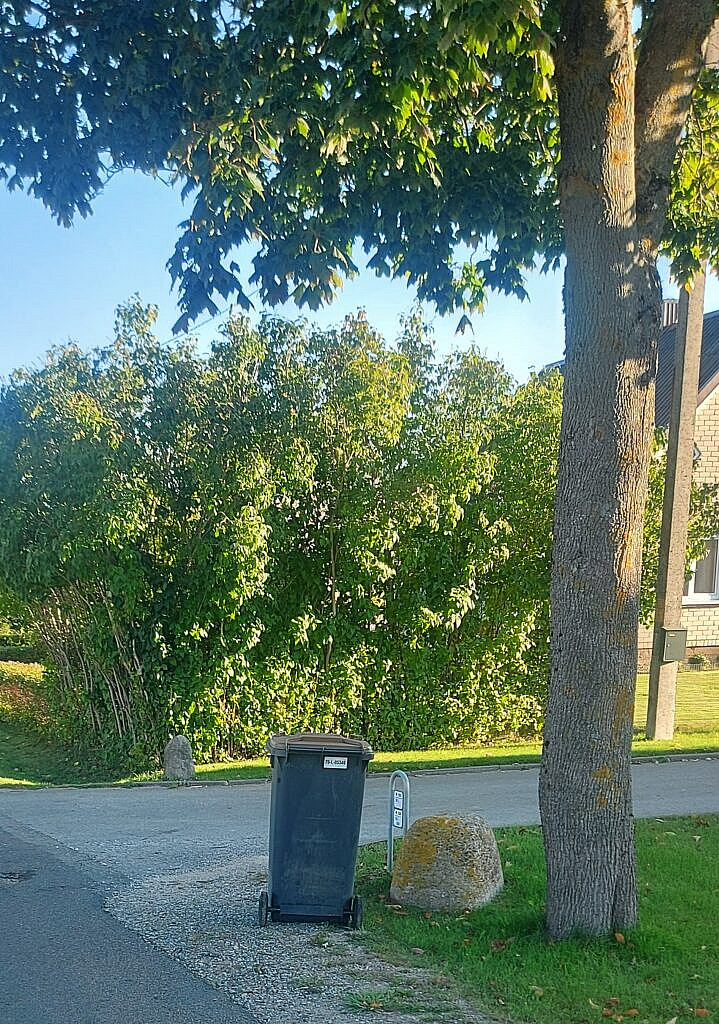 Vykdyta komunalinių atliekų ir stiklo pakuočių patikra Aleksandrijos, Ylakių bei Lenkimų gyvenvietėse