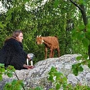 2022-ieji paskelbti gyvūnų gerovės metais: organizuojamas fotografijų konkursas „Augintiniai rudenį prie Skuodo rajono lankytinų objektų“