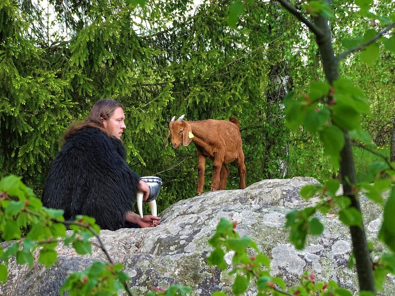2022-ieji paskelbti gyvūnų gerovės metais: organizuojamas fotografijų konkursas „Augintiniai rudenį prie Skuodo rajono lankytinų objektų“
