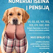 Liks tik vienas skubiosios pagalbos telefono ryšio numeris – 112