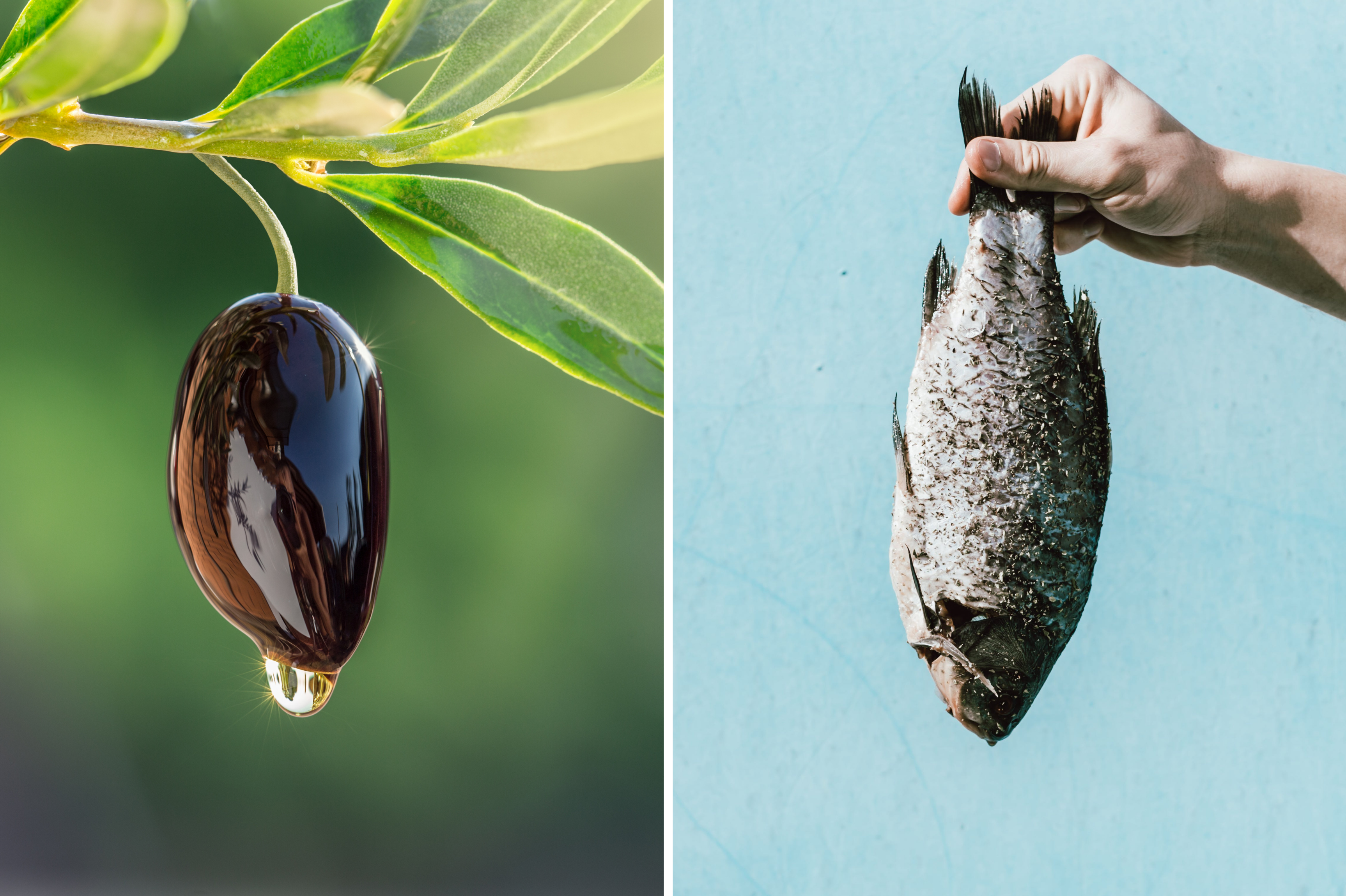 Bioplastiko išradėjai pasitelkia gamtos išteklius – nuo alyvuogių kauliukų iki žuvų kaulų