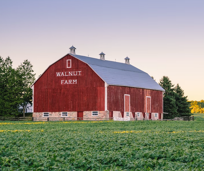 Visuomenės informavimas apie numatomą veršidės su diendaržiu Dilbikių k., Ylakių sen., Skuodo r. sav., naujos statybos projektavimą
