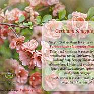 LR Seimo nario Valiaus Ąžuolo sveikinimas Tarptautinės slaugytojų dienos proga!